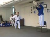 The classes Grand Master Taekwondo instructor shows the class how not to land a backflip kick.